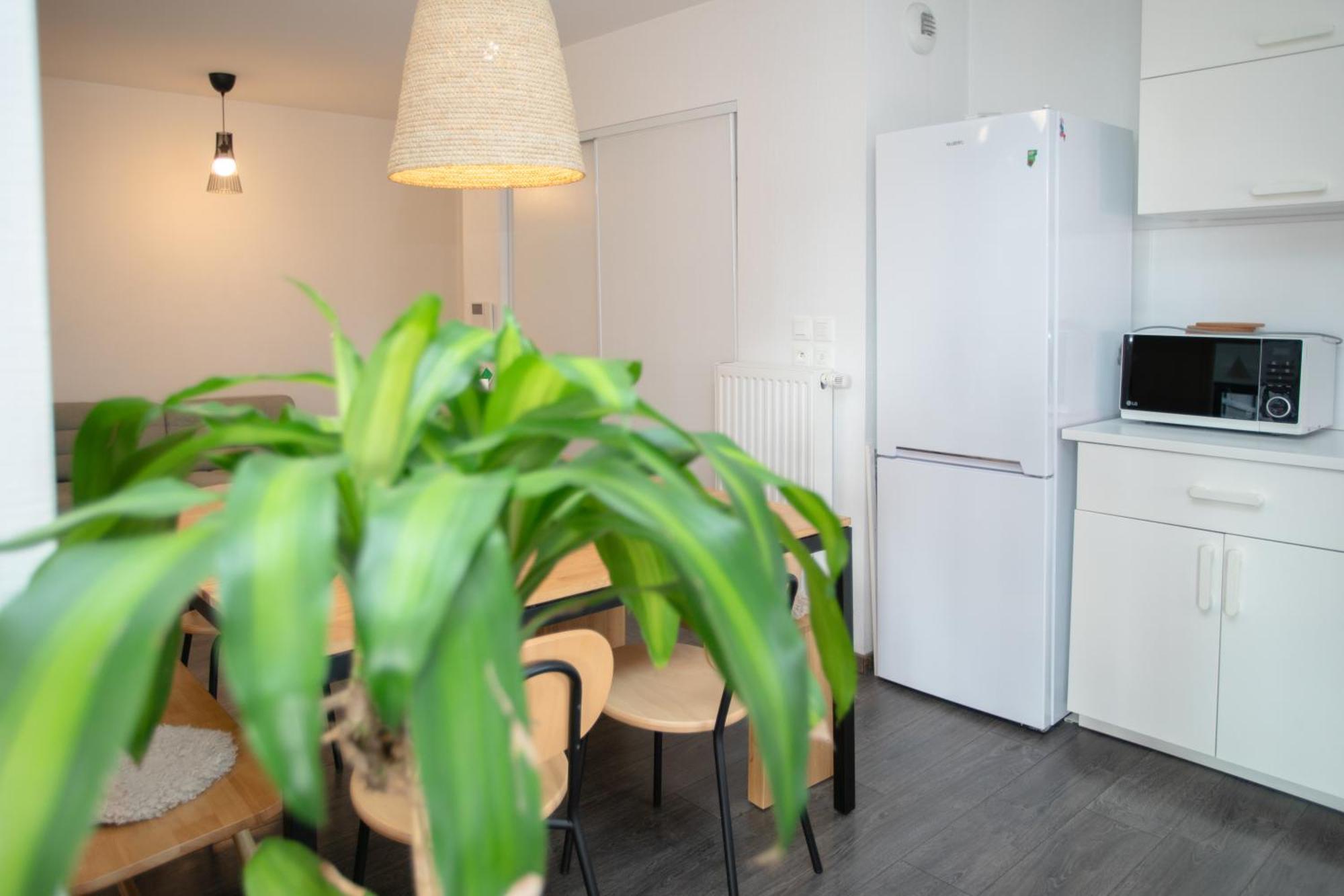 Appartement Moderne Au Centre Ville ストラスブール エクステリア 写真